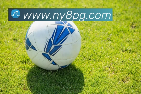 必一·运动(Bsports)官方网站 - Global PlatformAPP 高清赛事图